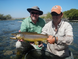 Shay's large Brown and Nicko in San Martin los Andes