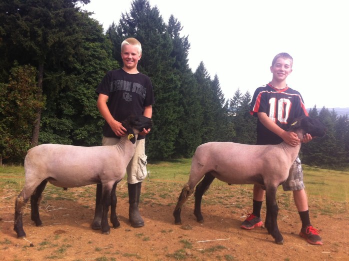 My Lamb is never the cheap stuff.  The are hand raised Champions by Brock and 