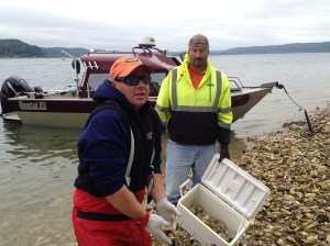 This is Trevor trying to break apart three stuck together.  