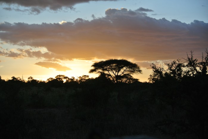 Tanzania Sunset