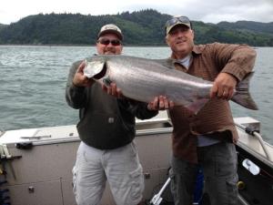 This King took 45 minutes to land, what a chroma