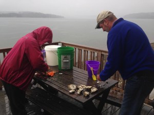 Jan and Mike begin shucking oysters.