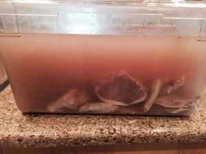 Always brine your pork, I even brine all my chicken.  If it is white meat